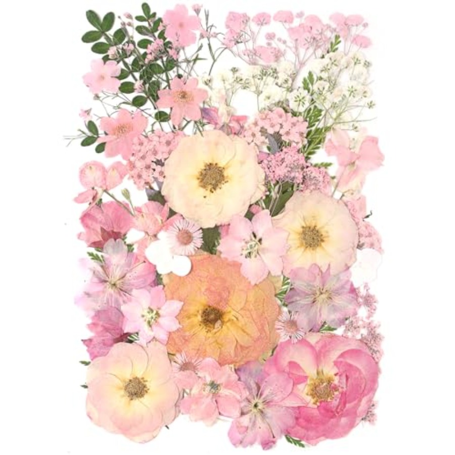 Baby Breath Dried - 14 Types Pink Dried Pressed Flowers