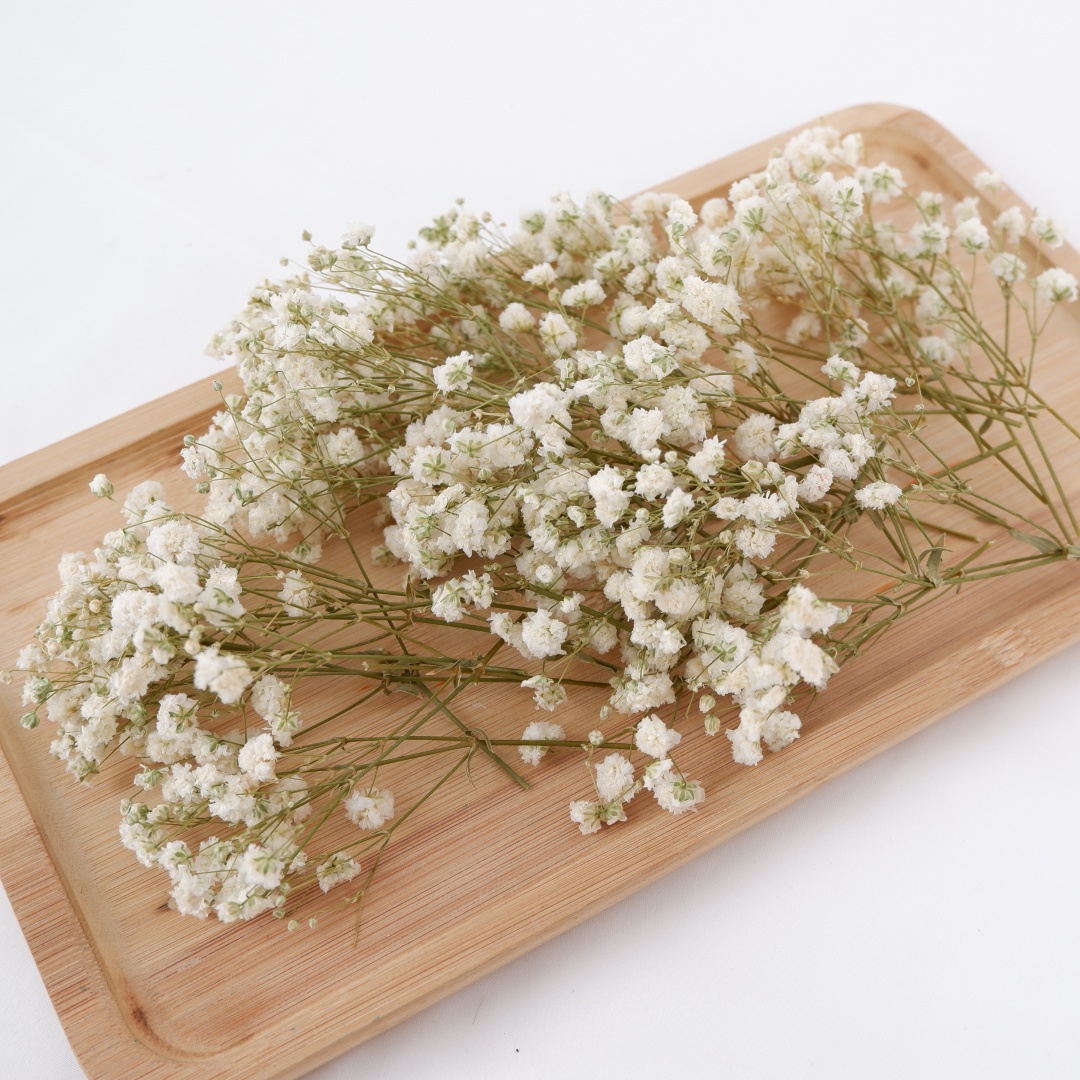 Dried Flowers White Mini Dried - Baby Breath Dried บทวิจารณ์และราคา