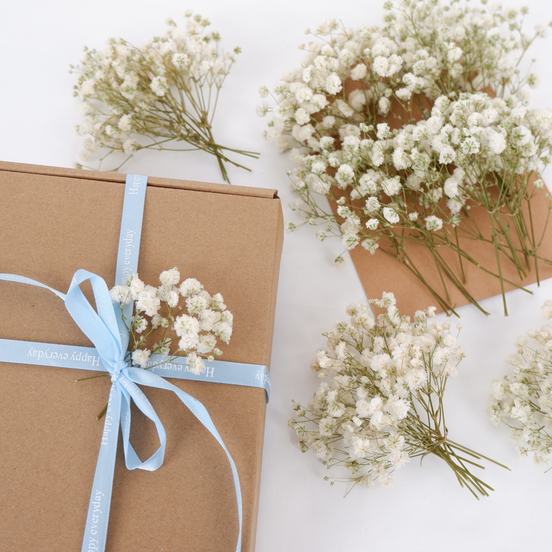 Dried Flowers White Mini Dried - Baby Breath Dried บทวิจารณ์และราคา