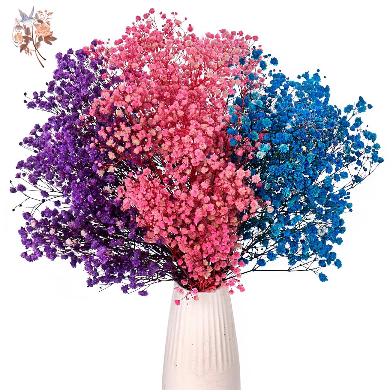 Dried Baby's Breath Flower Bou - Baby Breath Dried บทวิจารณ์และราคา