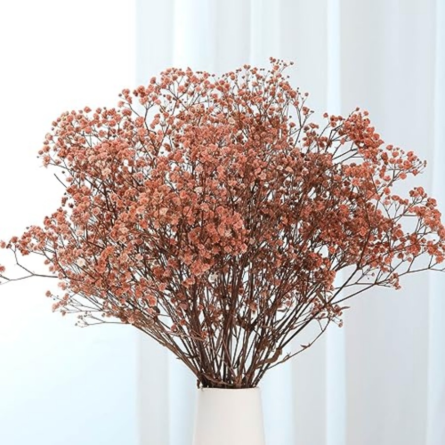 Babys Breath Dried Flowers Bou - Baby Breath Dried บทวิจารณ์และราคา
