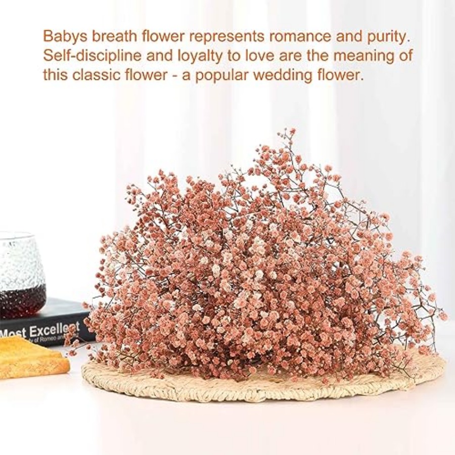 Babys Breath Dried Flowers Bou - Baby Breath Dried บทวิจารณ์และราคา