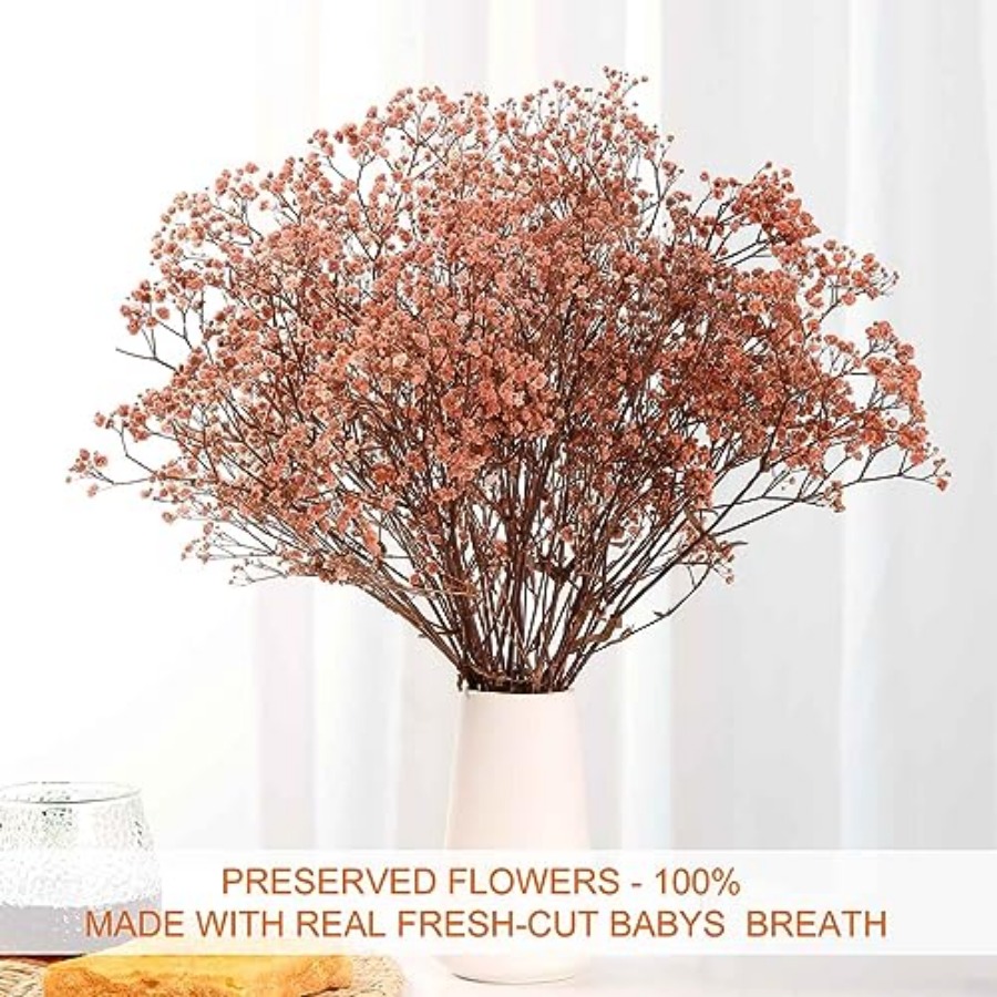 Babys Breath Dried Flowers Bou - Baby Breath Dried บทวิจารณ์และราคา