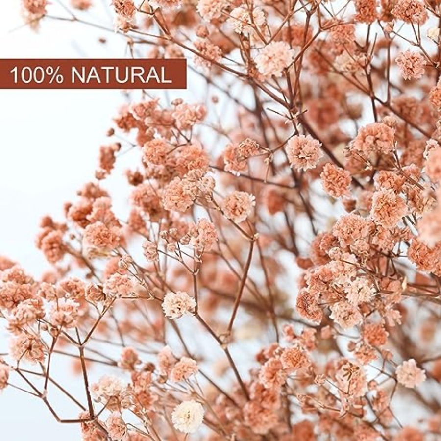 Babys Breath Dried Flowers Bou - Baby Breath Dried บทวิจารณ์และราคา
