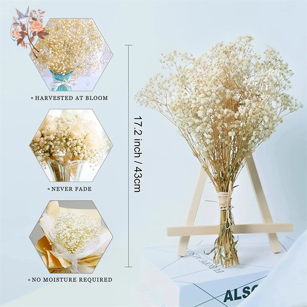 Real Baby Breath Dried Flowers - Baby Breath Dried บทวิจารณ์และราคา