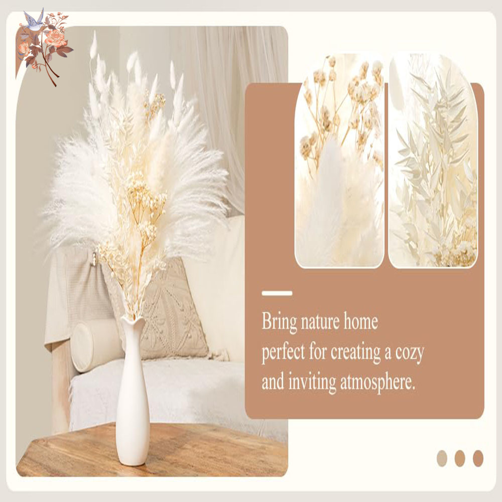 40pcs White Natural Dried Flow - Baby Breath Dried บทวิจารณ์และราคา