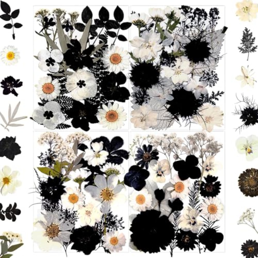 90Pcs Black Pressed Dried Flow - Baby Breath Dried บทวิจารณ์และราคา