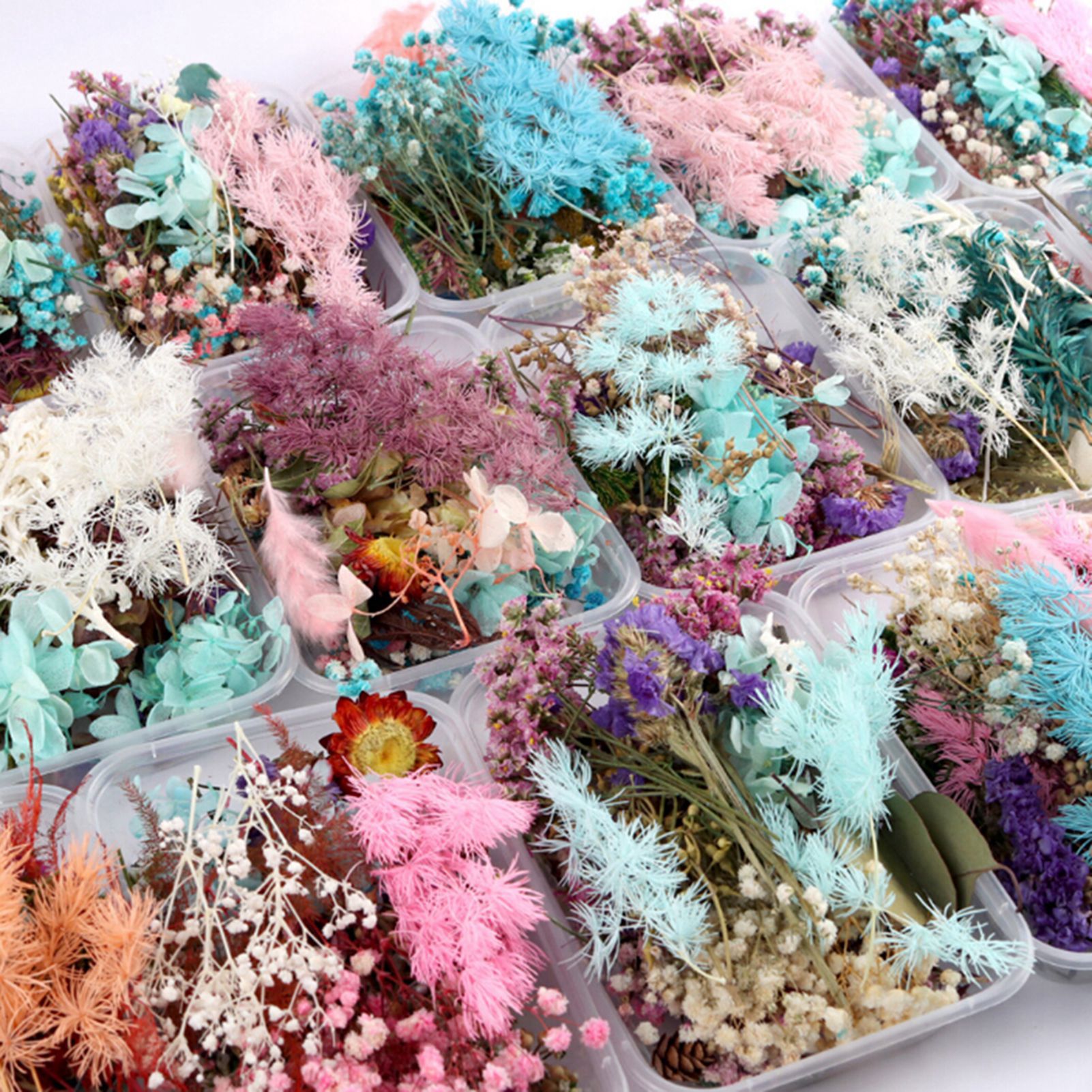 Dried flower handmade DIY prod - Baby Breath Dried บทวิจารณ์และราคา