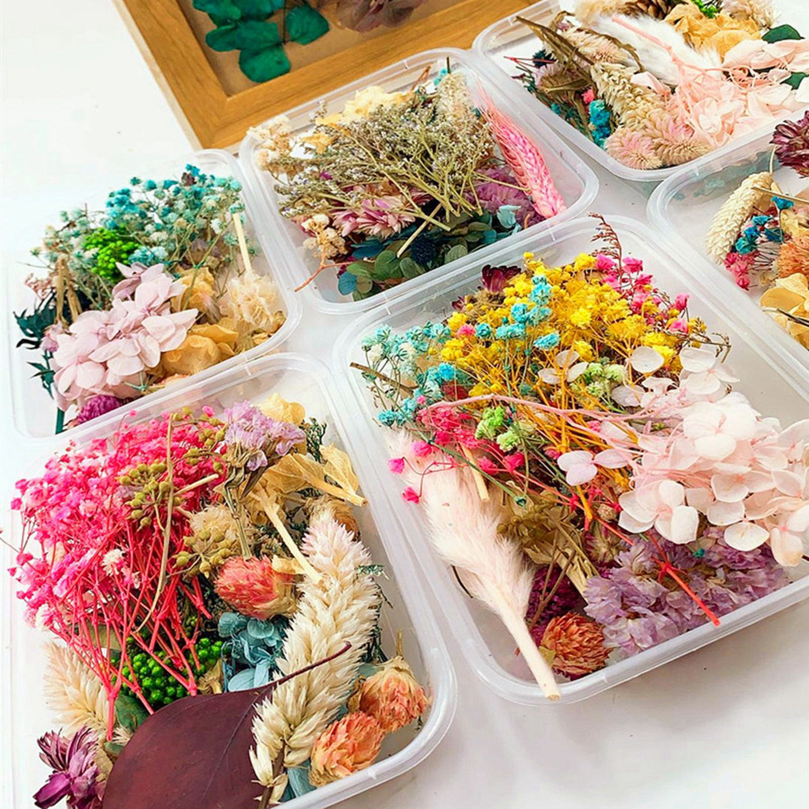 Dried flower handmade DIY prod - Baby Breath Dried บทวิจารณ์และราคา