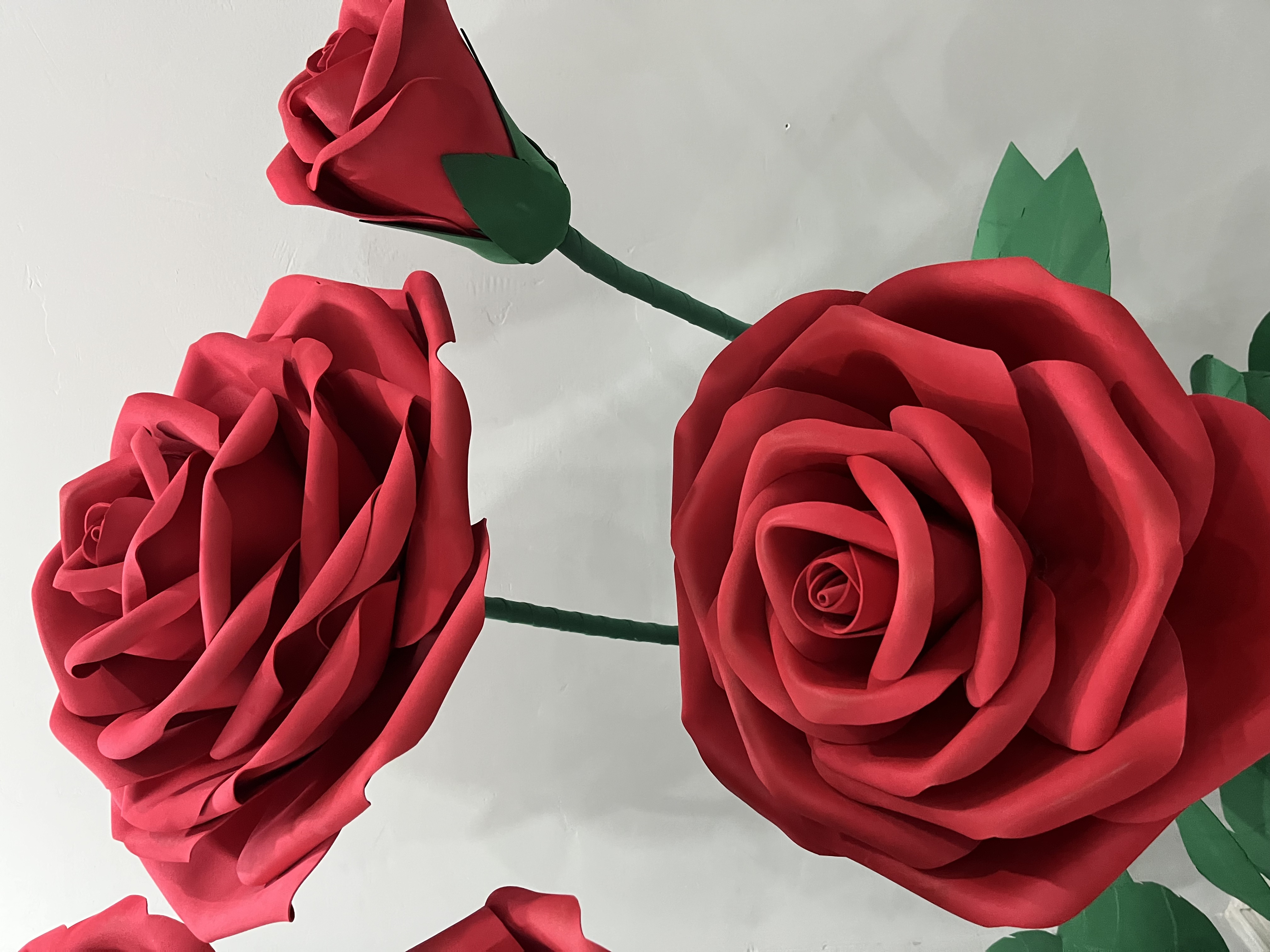 EVA Waterproof Giant Rose Flor - Bouquet Holder Foam บทวิจารณ์และราคา