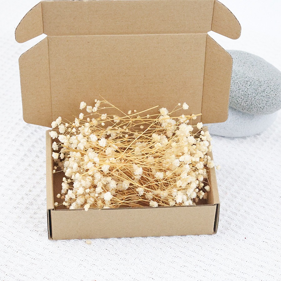 50pcs Mini Dried Baby's Breath - Baby Breath Dried บทวิจารณ์และราคา
