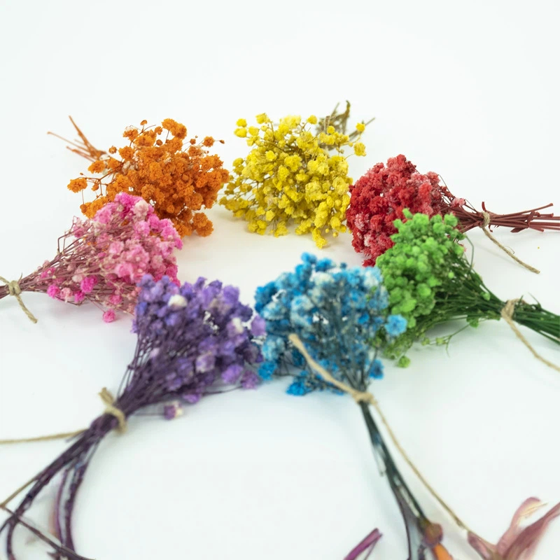 50pcs Mini Dried Baby's Breath - Baby Breath Dried บทวิจารณ์และราคา