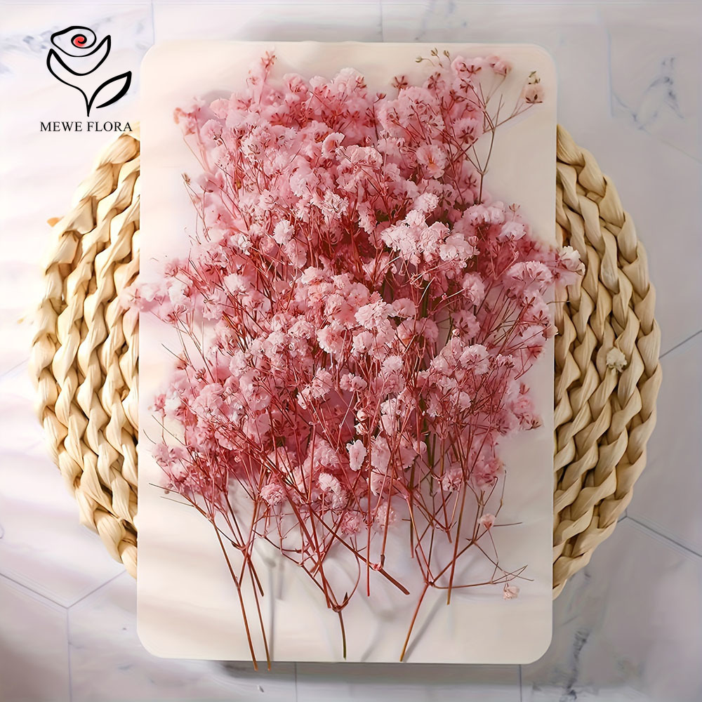 100 Small Branch Dried Baby's  - Baby Breath Dried บทวิจารณ์และราคา