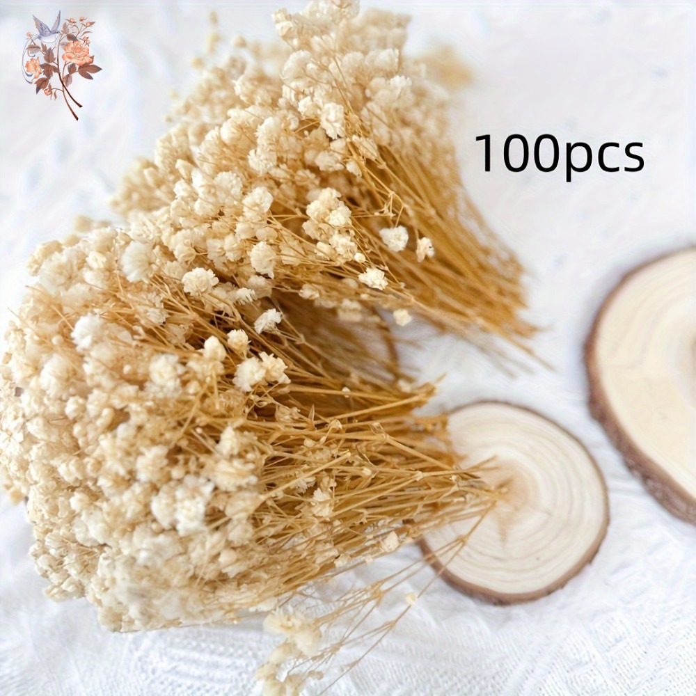 100pcs Mini Dried Baby's Breat - Baby Breath Dried บทวิจารณ์และราคา